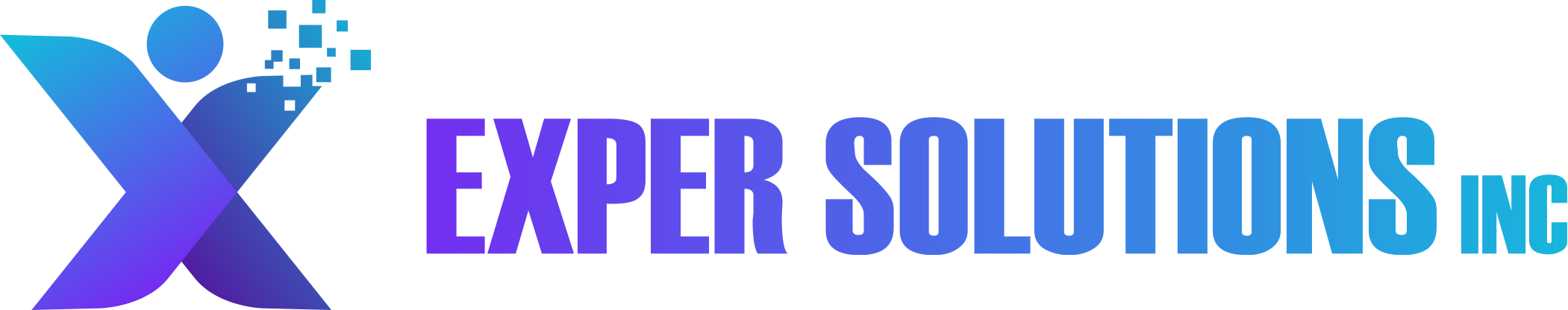 Exper Solutions Inc